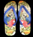 Chinelo Aves Tropicais